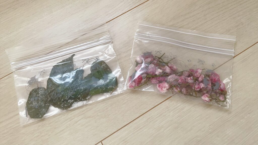 完成した桜の塩漬け